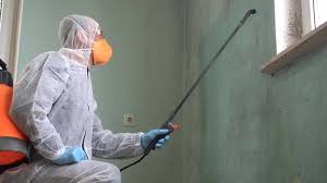 Best Biohazard Mold Removal  in Perry, OK