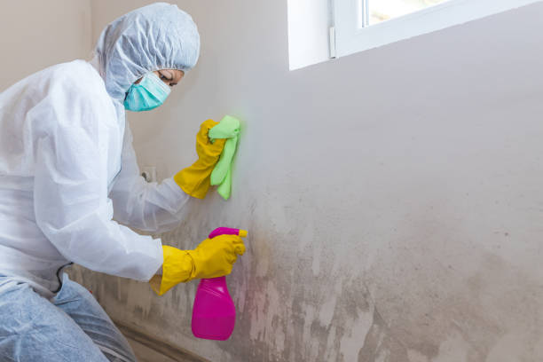 Best Crawl Space Mold Remediation  in Perry, OK